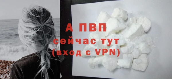 СК Арсеньев