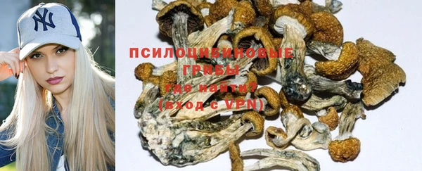 ALPHA-PVP Армянск