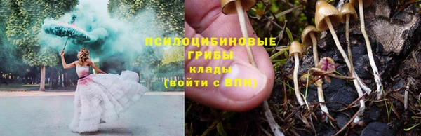 СК Арсеньев