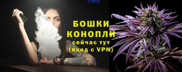 СК Арсеньев